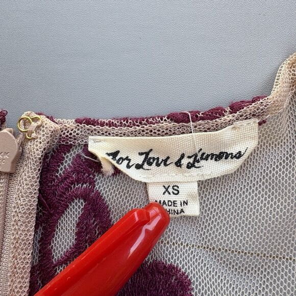 FOR LOVE & LEMONS Size XS Temecula Embroidered Mesh Mini Dress Fairy Whimsigoth - Picture 4 of 11